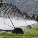 irrigation, sprinklers, agriculture, drought, climate, change, field, irrigation, irrigation, irrigation, irrigation, irrigation